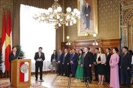 President asks Vienna to cooperate with Vietnamese localities