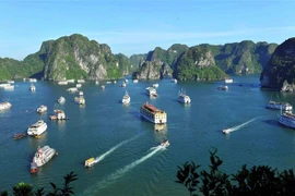 Quang Ninh welcomes 170,000 visitors during New Year holiday